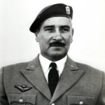 Ribeiro, Alcínio